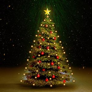 VIDAXL Weihnachtsbaum Lichternetz Mit 150 Leds 150 Cm