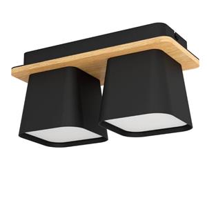 Eglo Stars of Light 2-lichts plafondlamp Ruscio 390007