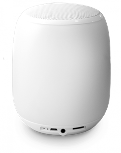 GardenLights Tafellamp Orb met speaker Smooz 2604451