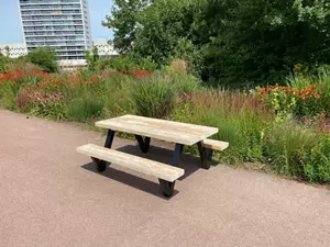 Industrielemeubelshop Steigerhouten kinder picknicktafel met stalen poten Bliss