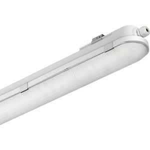 Philips CoreLine WT120C LED-lamp voor vochtige ruimte LED LED vast ingebouwd 29 W Neutraalwit Grijs