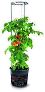 prosperplast Anzuchttopf für Tomaten, Grow 1 Durchmesser 295 mm - anthrazit