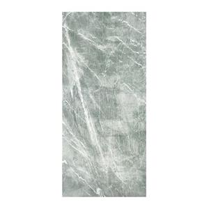 Praxis Aurlane Wandpaneel 90x210cm Artic Green