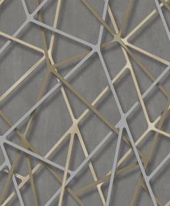 Dutch Wallcoverings Behang Galactik Dessin Beige/Goud M247-09