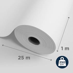 Sencys Glasvlies 25m 250gram