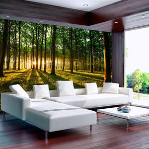 Karo-art Zelfklevend fotobehang - Zomers bos , Premium Print