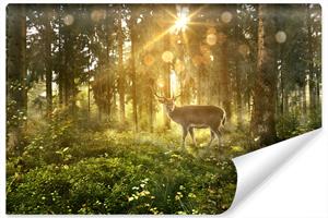 Karo-art Fotobehang - Hert in zonnig bos, premium print, inclusief behanglijm