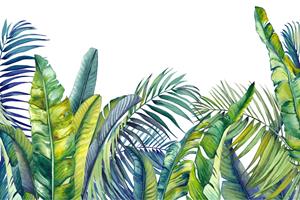 Karo-art Fotobehang - Groene en blauwe tropische planten, in 11 maten te koop, incl behanglijm