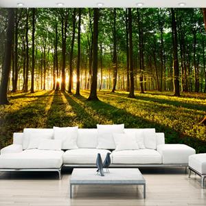 Karo-art Zelfklevend fotobehang - Mystieke Ochtend, Bos, 8 maten, premium print