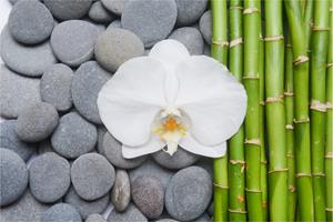 Karo-art Fotobehang - Bamboe, Orchidee en stenen, Spa, Inspiratie, in 11 maten, inclusief behanglijm