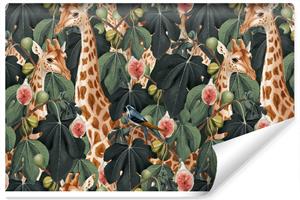 Karo-art Fotobehang - Giraffen tussen de bladeren, premium print, inclusief behanglijm