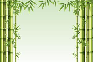 Karo-art Fotobehang - Bos van Bamboe, Groen, Prachtige achtergrond, in 11 maten, incl behanglijm