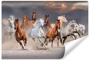 Karo-art Fotobehang - Kudde galopperende paarden, 11 maten, premium print, inclusief behanglijm