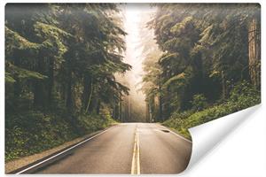 Karo-art Fotobehang - Weg door het bos, premium print, inclusief behanglijm