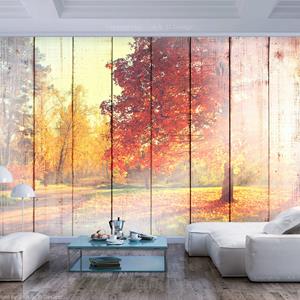 Karo-art Zelfklevend fotobehang - In de Herfst zon, Natuur, premium print