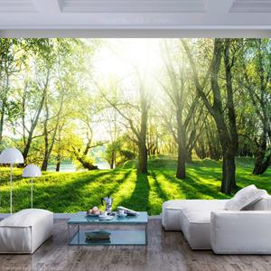 Karo-art Zelfklevend fotobehang - Zonnige dag in een bos , Premium Print