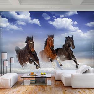 Karo-art Zelfklevend fotobehang - Wilde paarden in de sneeuw, premium print