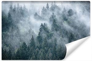 Karo-art Fotobehang - Mistig bos, premium print, inclusief behanglijm
