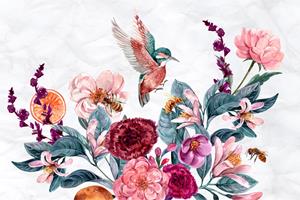 Karo-art Fotobehang - Kolibries en bijen op een bloem, Prachtig op de muur, 11 maten, incl behanglijm