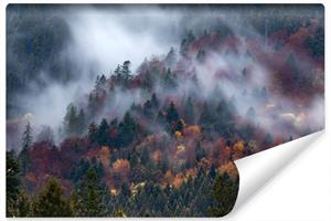 Karo-art Fotobehang - Mistig herfstbos, premium print, inclusief behanglijm