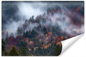 Karo-art Fotobehang - Mistig herfstbos, premium print, inclusief behanglijm