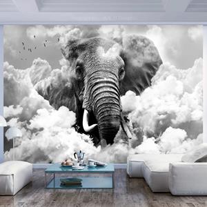 Karo-art Fotobehang - Olifant in de wolken, ( zwart-wit ), premium print vliesbehang