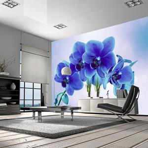 Karo-art Zelfklevend fotobehang - Doordachtheid, Blauw, 8 maten, premium print