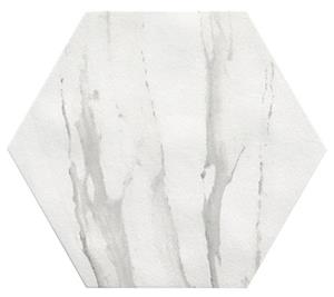 Jabo Tegelsample:  Hexagon Roma vloertegel statuario 21.6x25