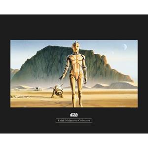 Poster Star Wars Classic RMQ Droids