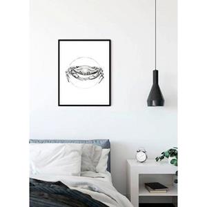 Komar Poster Crab white Hoogte: 50 cm