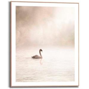 Reinders! Poster Schwan im Nebel