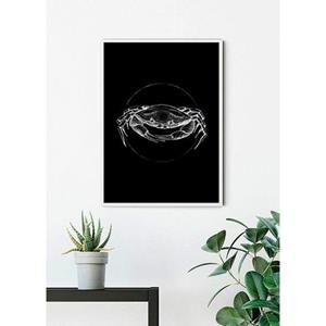Komar Poster Crab black Hoogte: 70 cm