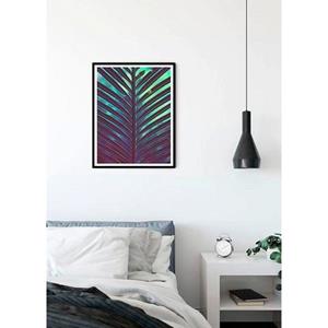 Komar Poster Hide Hoogte: 70 cm