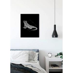 Komar Poster Iguana black Hoogte: 70 cm