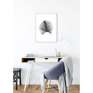 Komar Poster Feather white Hoogte: 70 cm