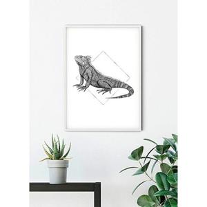 Komar Poster Iguana white Hoogte: 40 cm