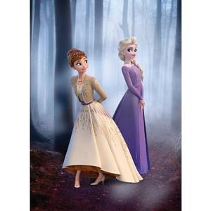 Komar Poster Frozen Wood walk