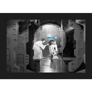 Komar Poster Star Wars Classic Leia R2D2 upload