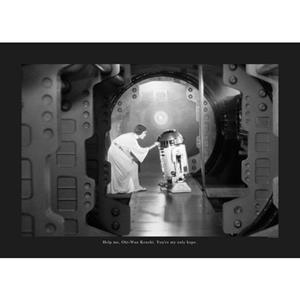 Komar Poster Star Wars Classic Leia R2D2 aandeel
