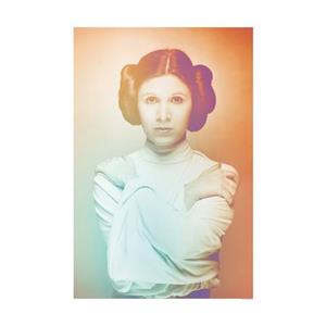 Komar Poster Star Wars Classic iconen Color Leia