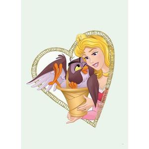 Komar Poster Aurora & Owl