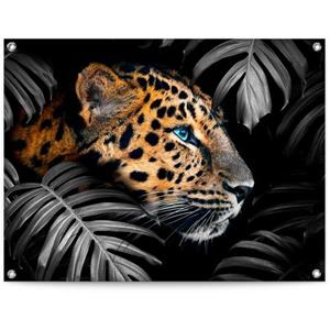 Reinders! Poster Leopard