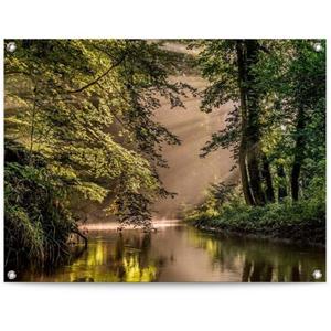 Reinders! Poster Bach im Wald