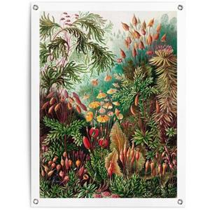 Reinders! Poster Sea Flora
