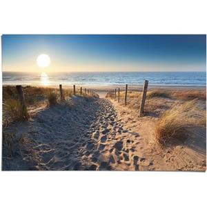 Poster Weg door de duinen