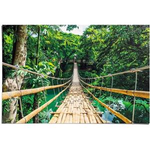 Poster Jungle brug
