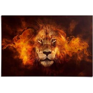 Reinders! Poster Löwe in Flammen
