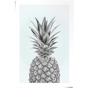 Reinders! Poster Ananas