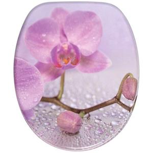 Sanilo Toiletzitting Blooming