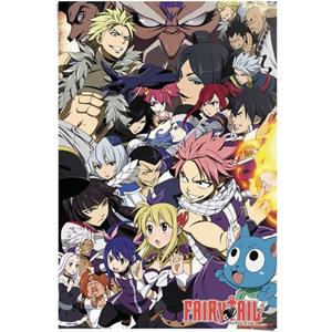 Reinders! Poster Fairy tail seizoen 6